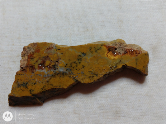 Brian Head Agate BH-00007-01