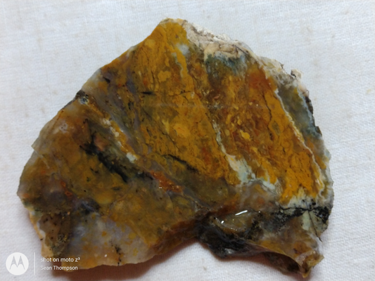 Brian Head Agate BH-00010-11