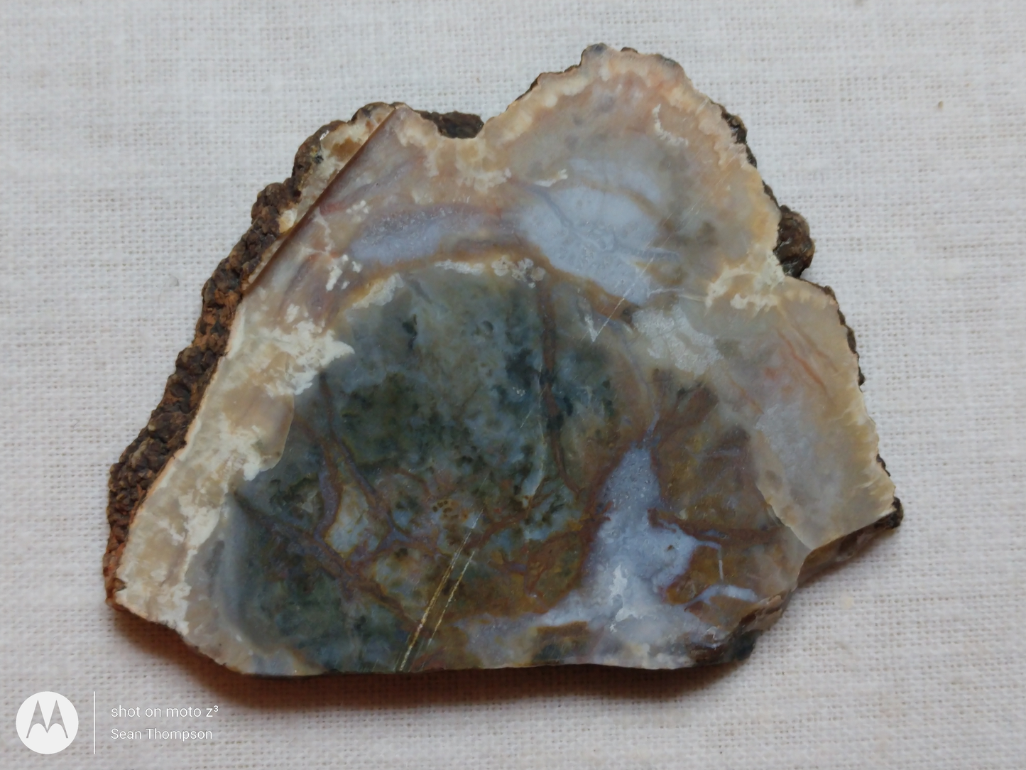 Coprolite FS-00006-06