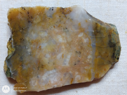 Brian Head Agate BH-00010-03