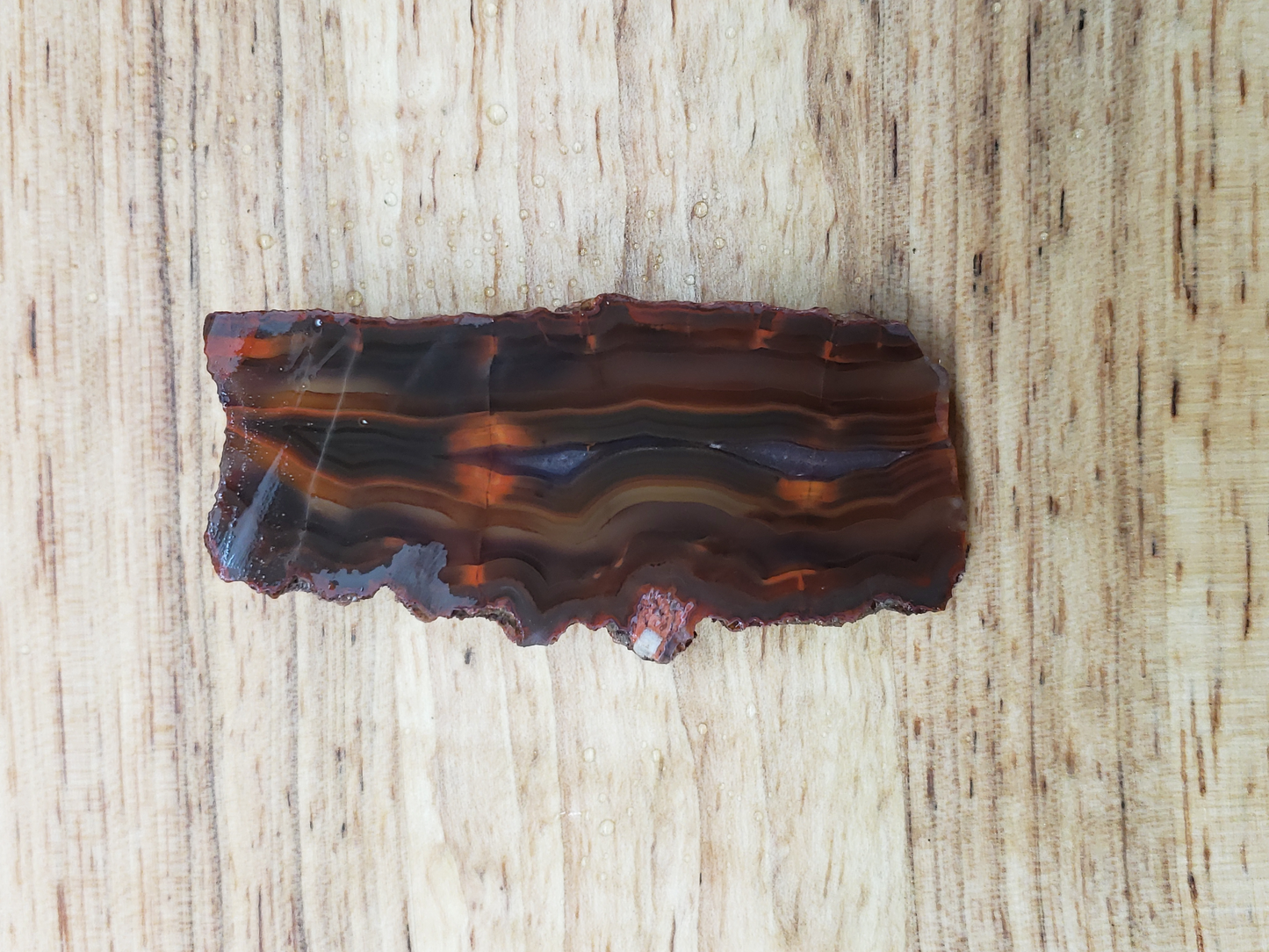 Condor Agate AG-x-00018