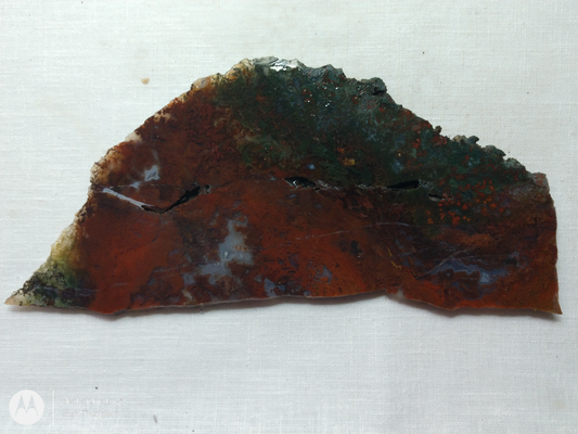 Holt Canyon Moss Agate HC-Bob-x1-00019