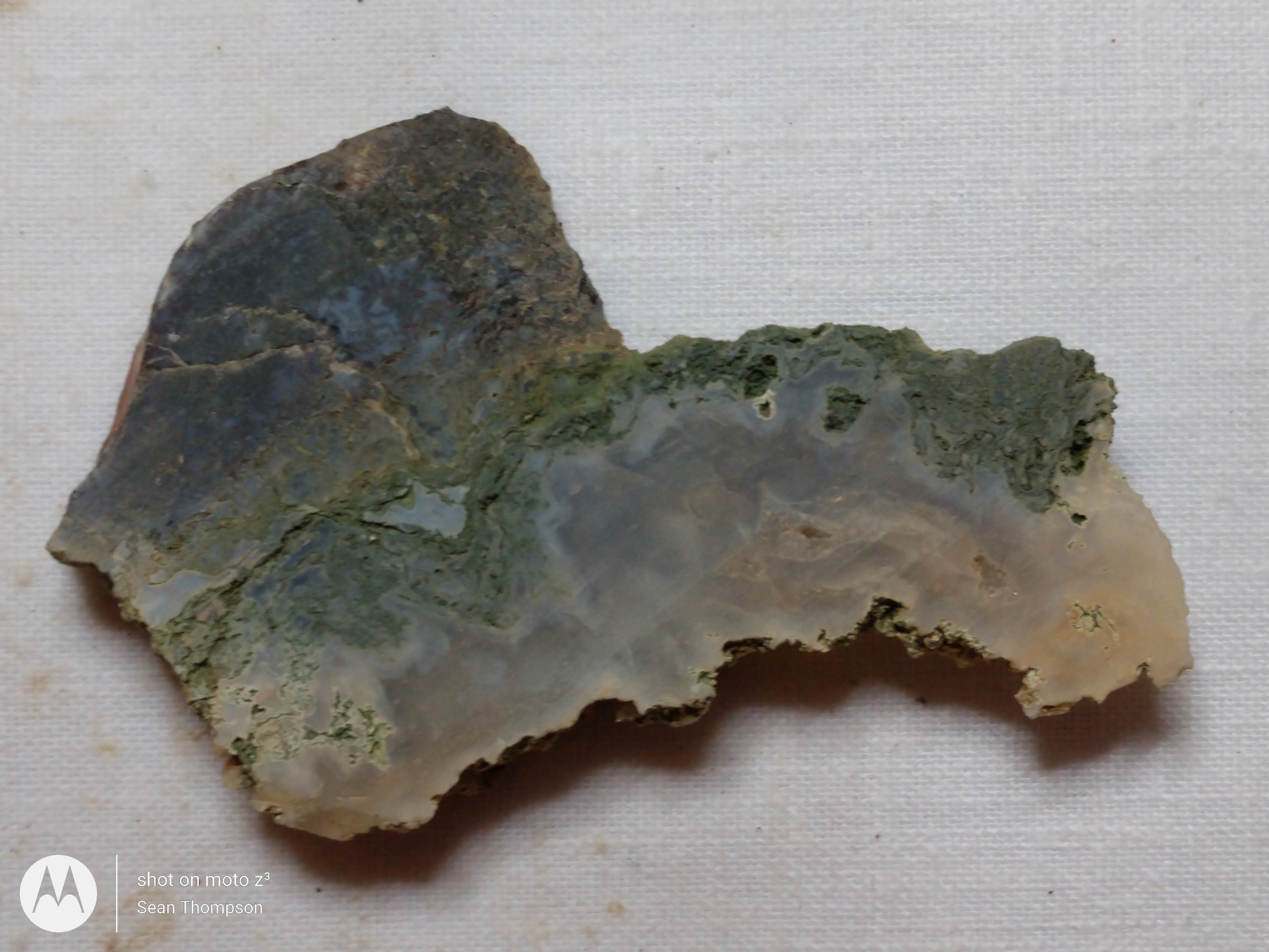 Holt Canyon Moss Agate HC-00014-03