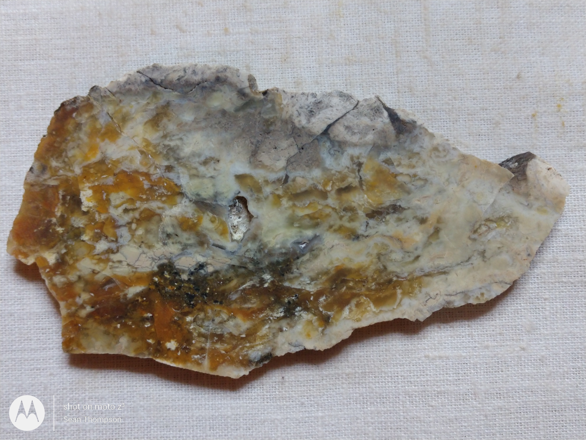 Brian Head Agate BH-00010-10