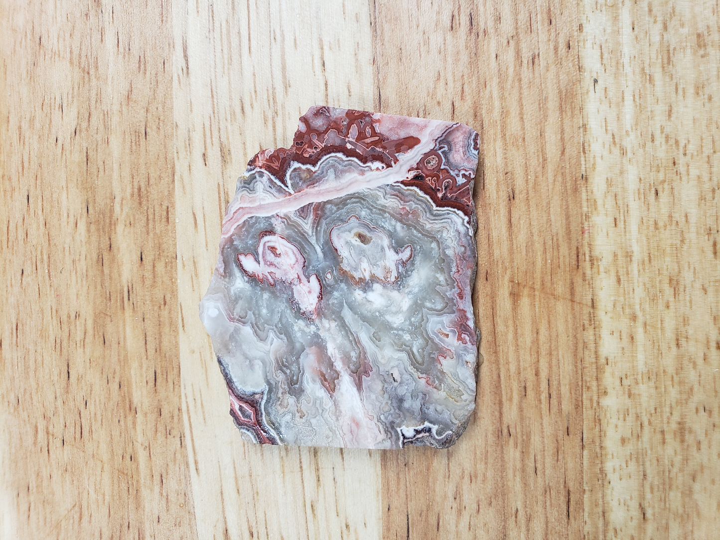 Rosetta Lace Agate AG-x-00059