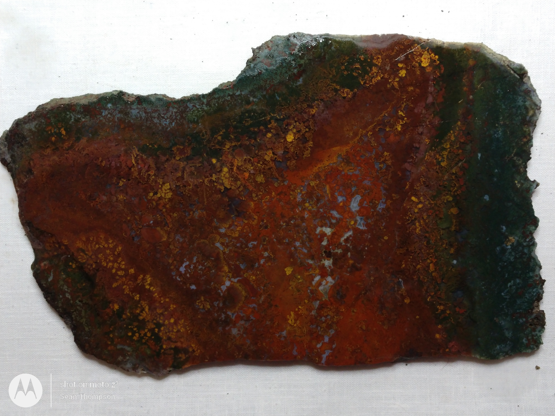 Holt Canyon Moss Agate HC-Bob-x1-00037