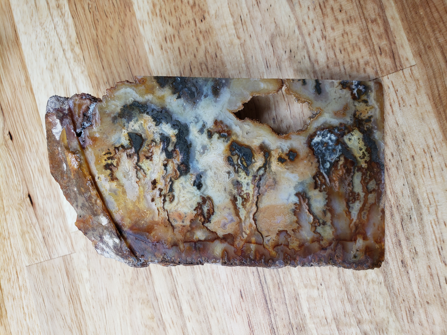 Graveyard Point Plume Agate AG-x-00031