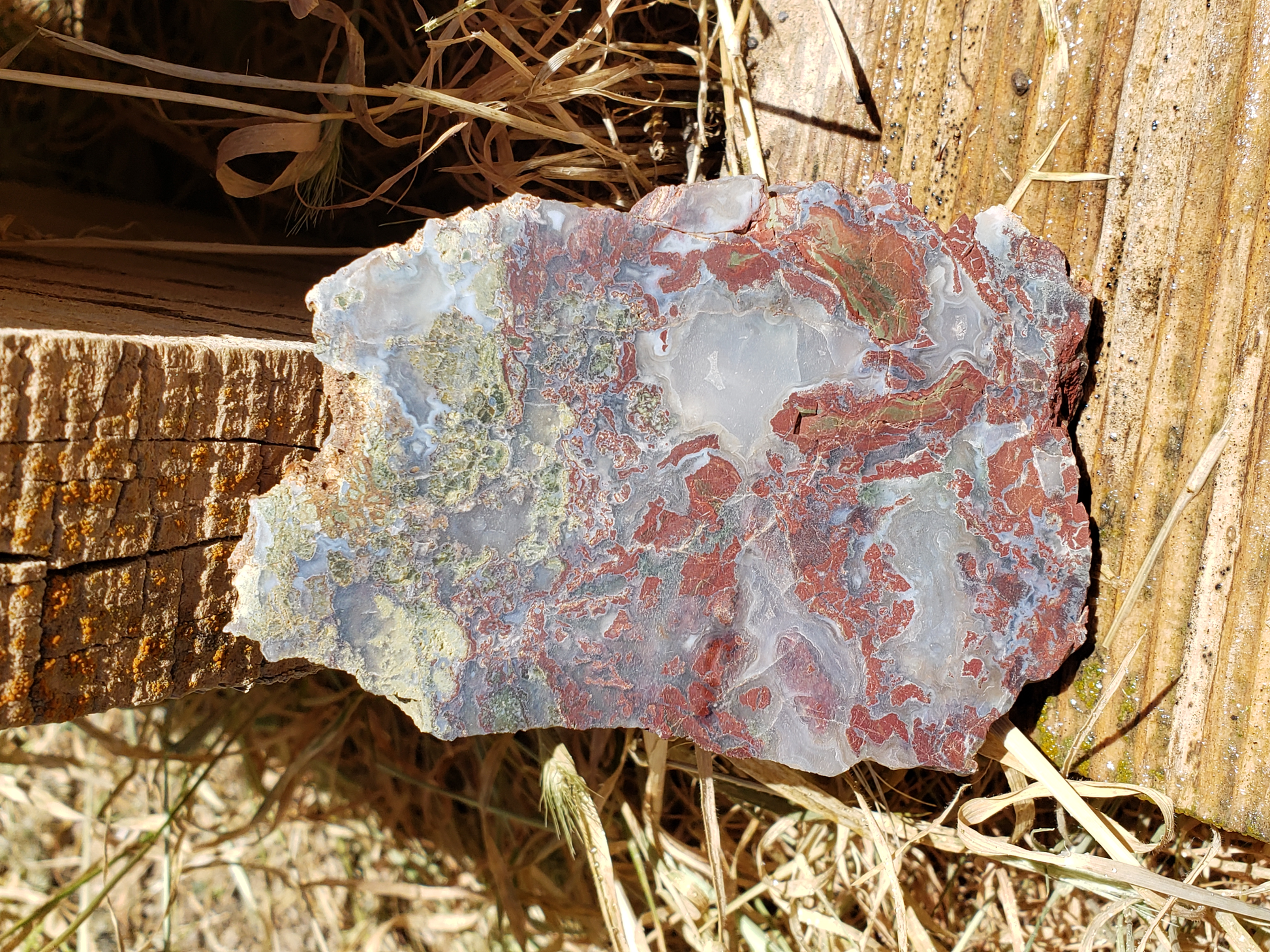 Holt Canyon Agate HC-x-00006