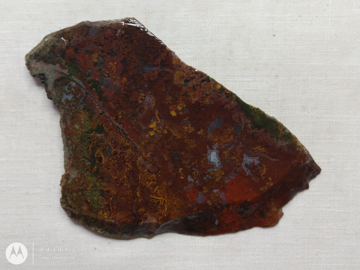 Holt Canyon Moss Agate HC-Bob-x1-00024