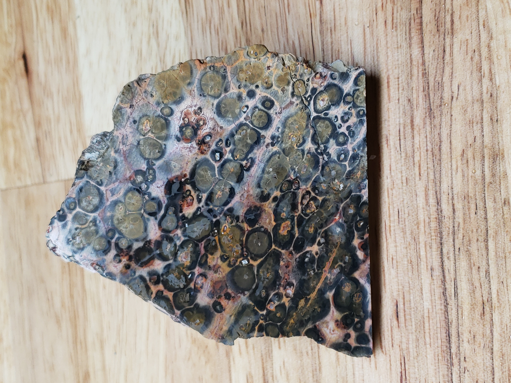 Leopard Skin Jasper JA-x-00015