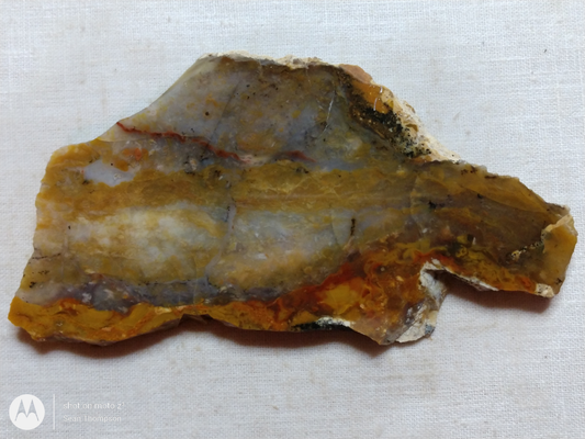 Brian Head Agate BH-00010-21