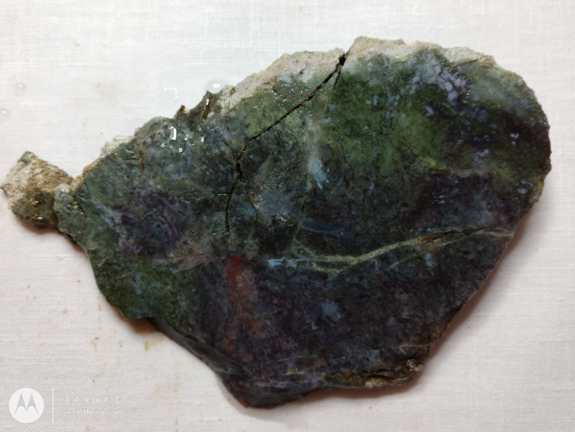 Holt Canyon Moss Agate HC-00013-04