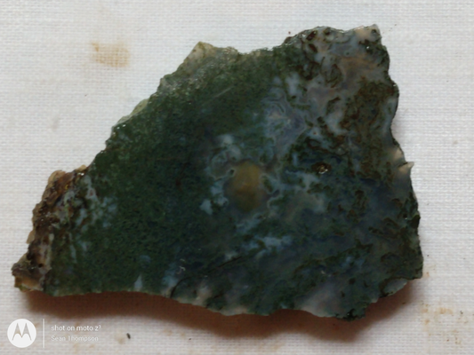 Holt Canyon Moss Agate HC-00014-02