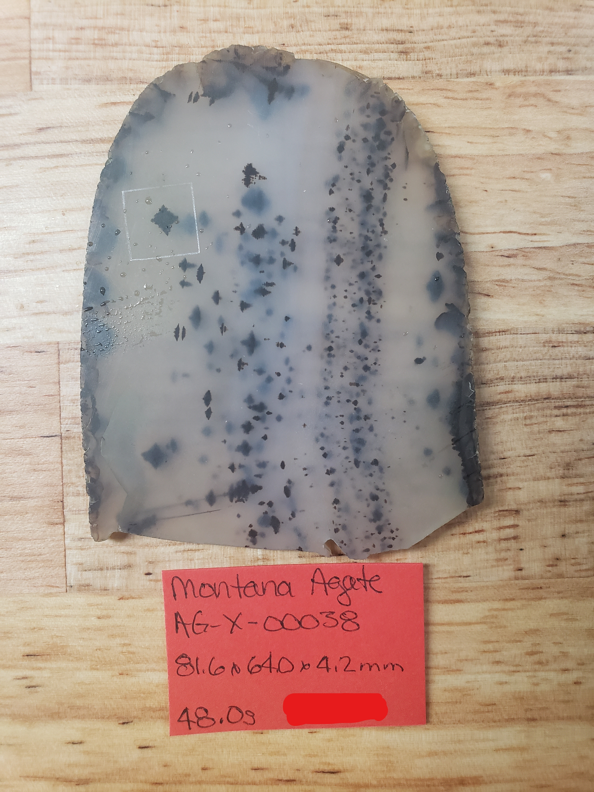 Montana Agate AG-x-00038