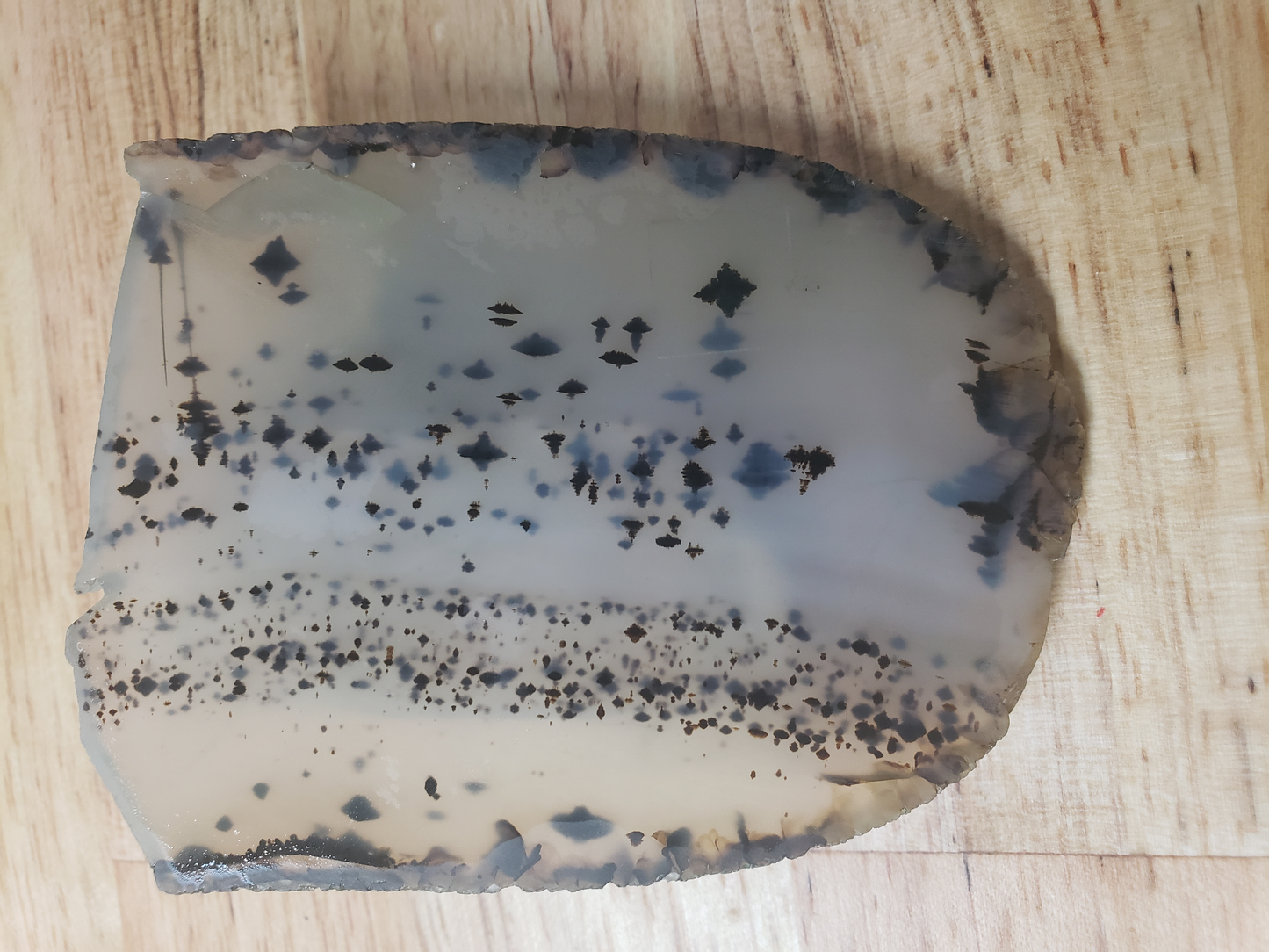 Montana Agate AG-x-00038