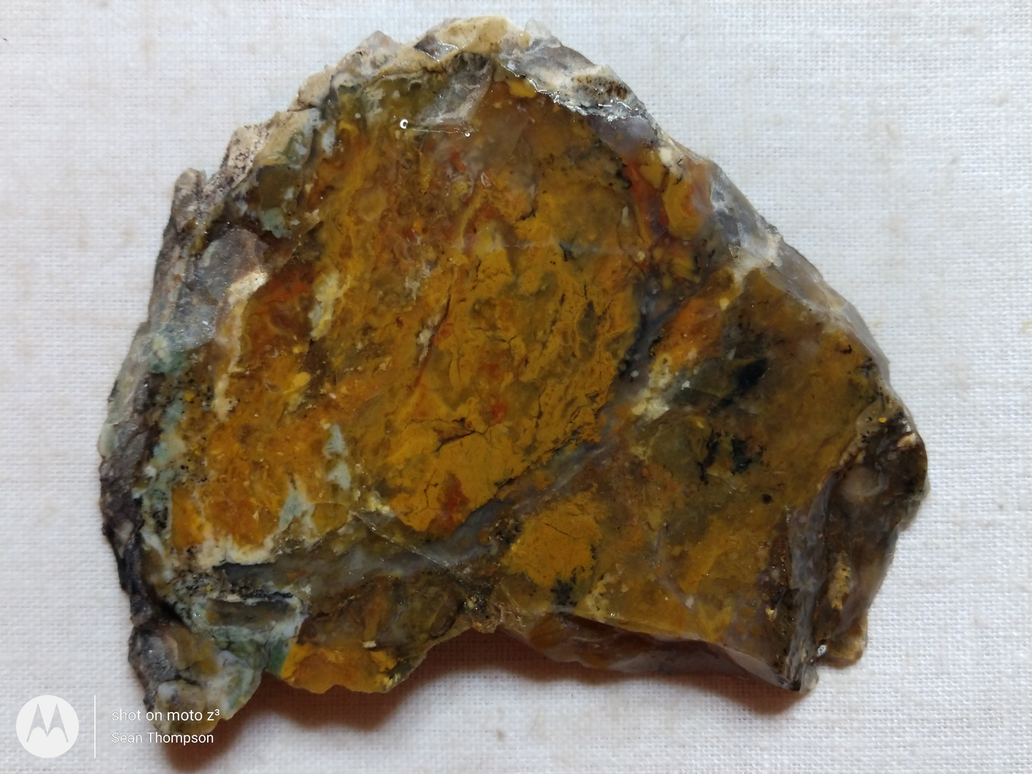 Brian Head Agate BH-00010-11