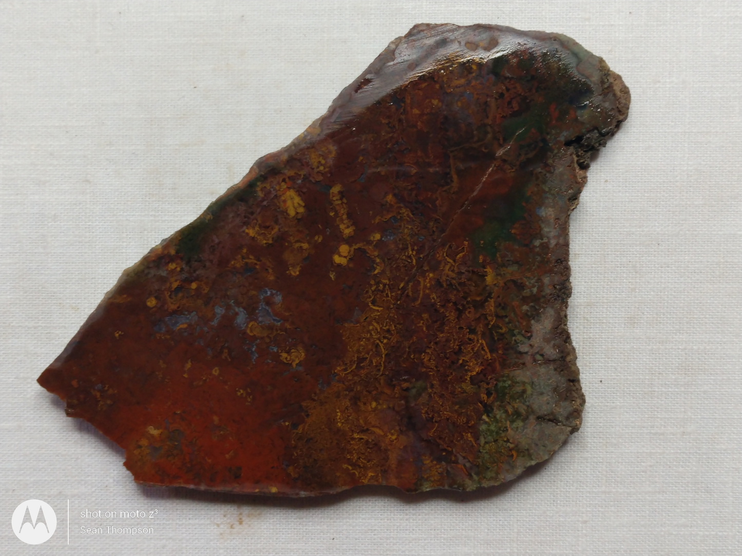 Holt Canyon Moss Agate HC-Bob-x1-00024