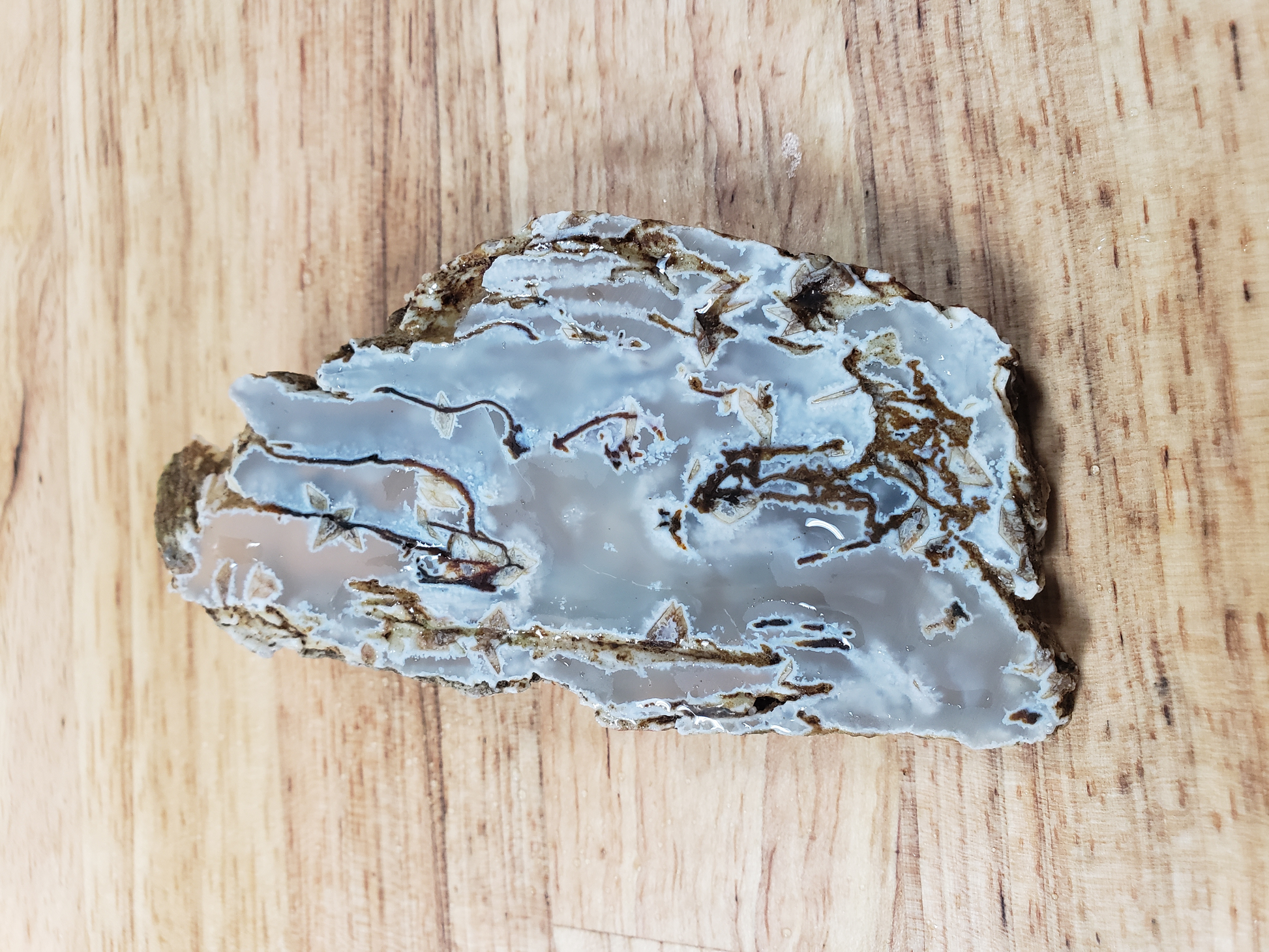 Plume Agate AG-x-00041