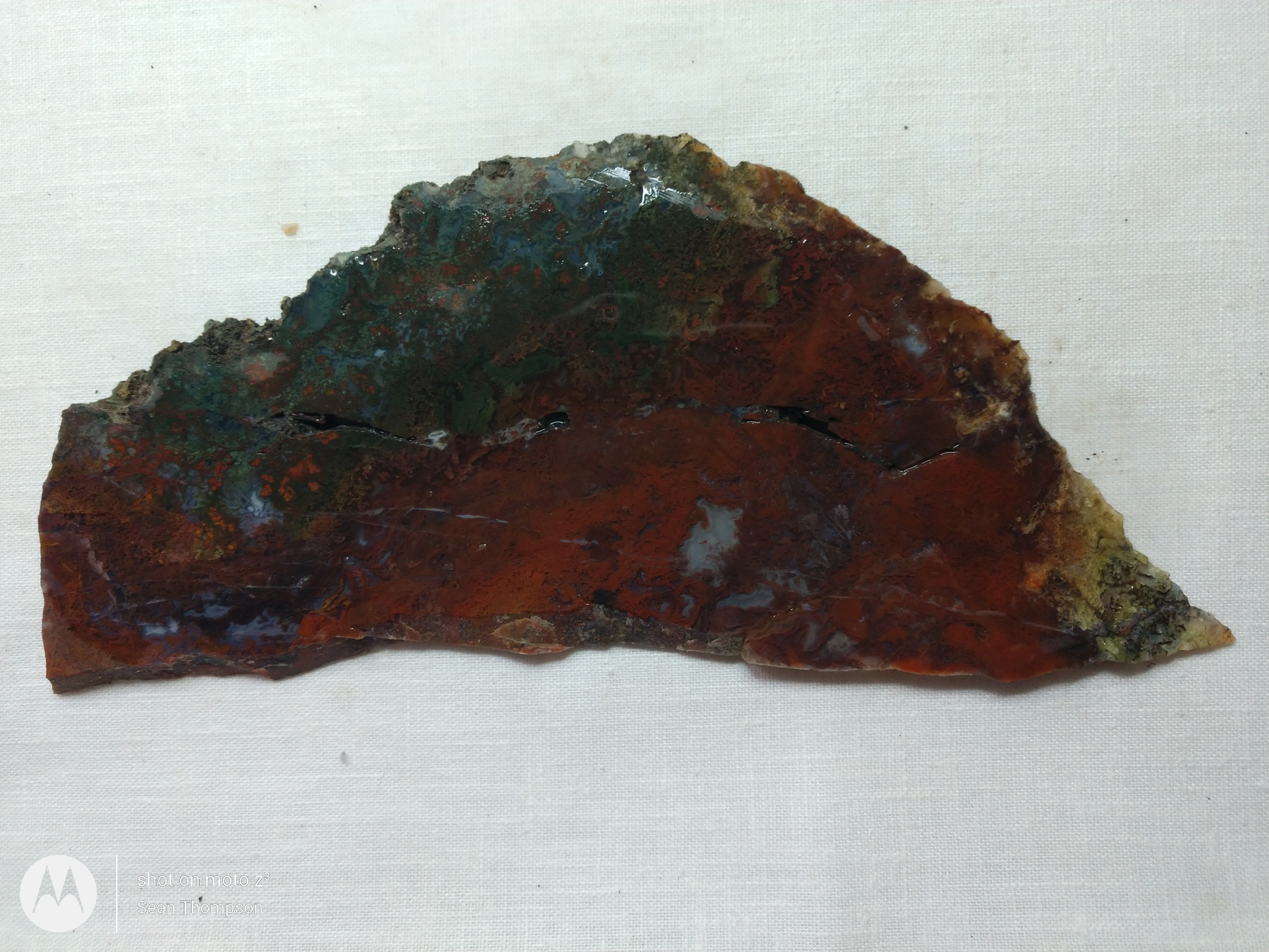 Holt Canyon Moss Agate HC-Bob-x1-00019