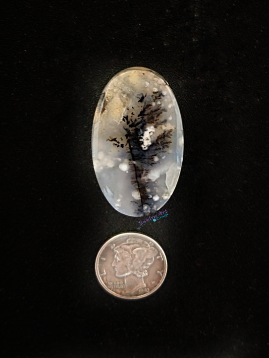 Dendrite Agate AG-x-x-00136