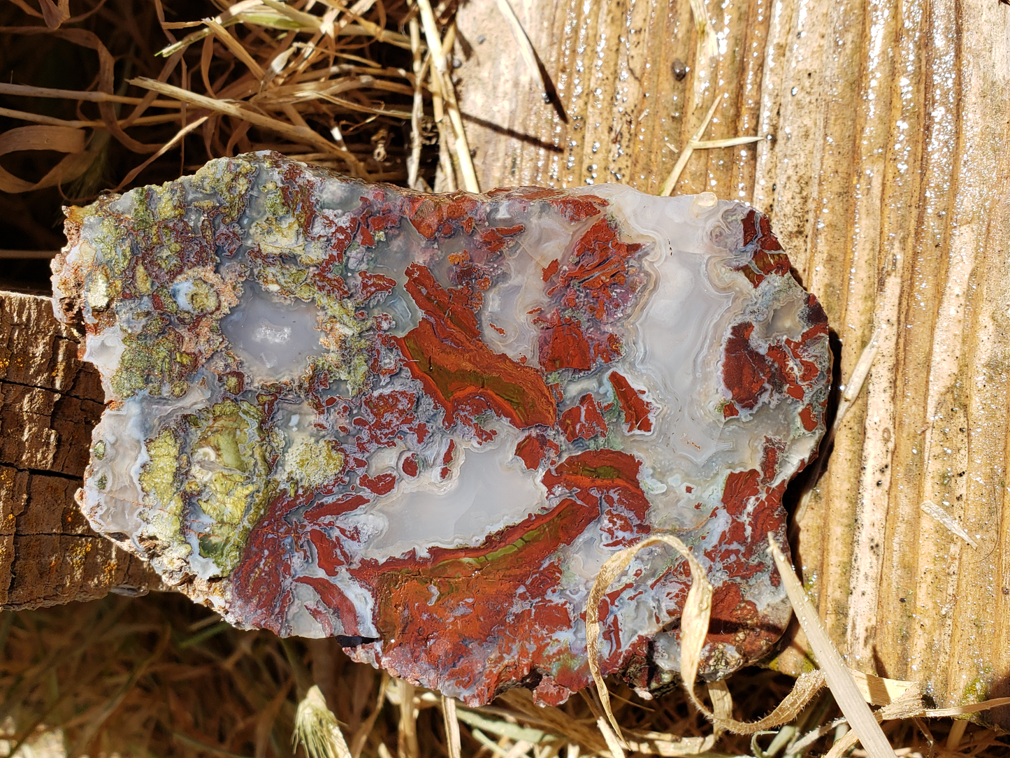 Holt Canyon Agate HC-x-00006