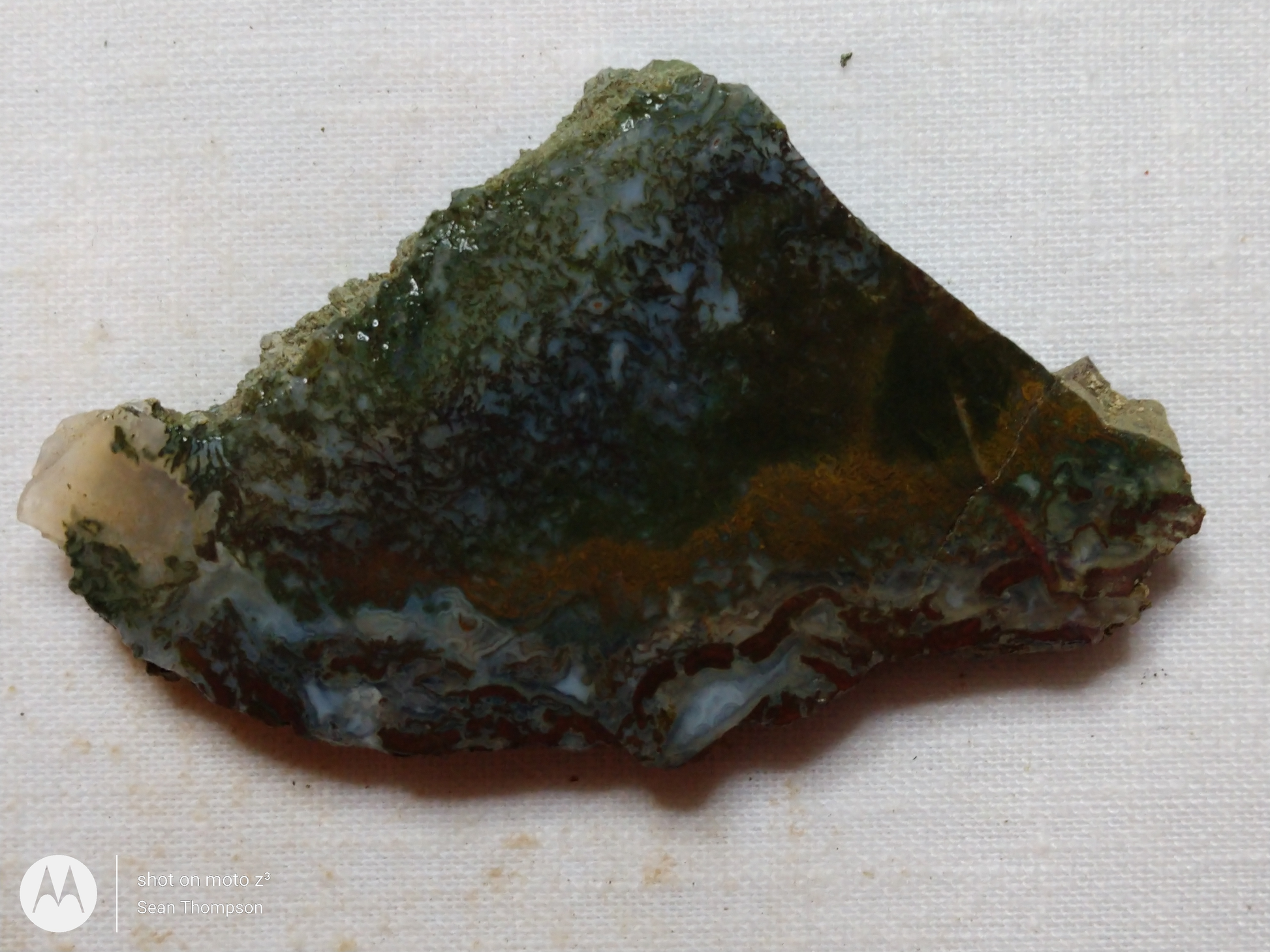 Holt Canyon Moss Agate HC-00014-06