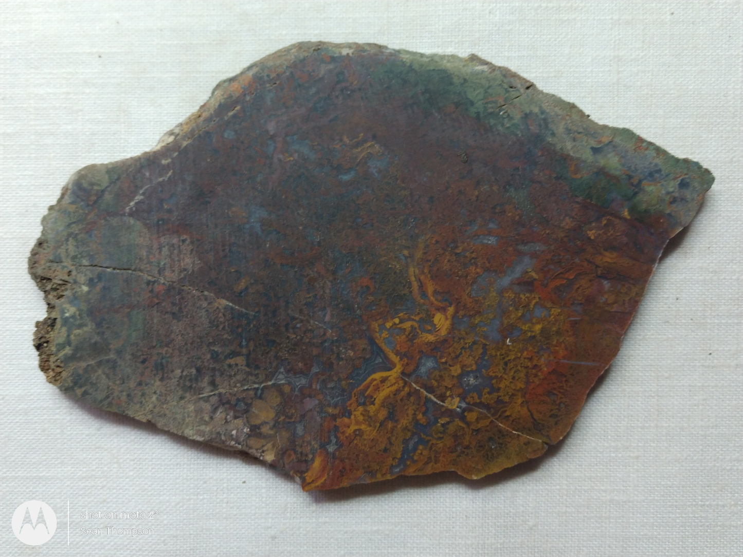 Holt Canyon Moss Agate HC-Bob-x1-00022