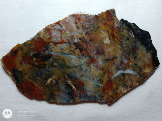 Holt Canyon Agate HC-00015-15