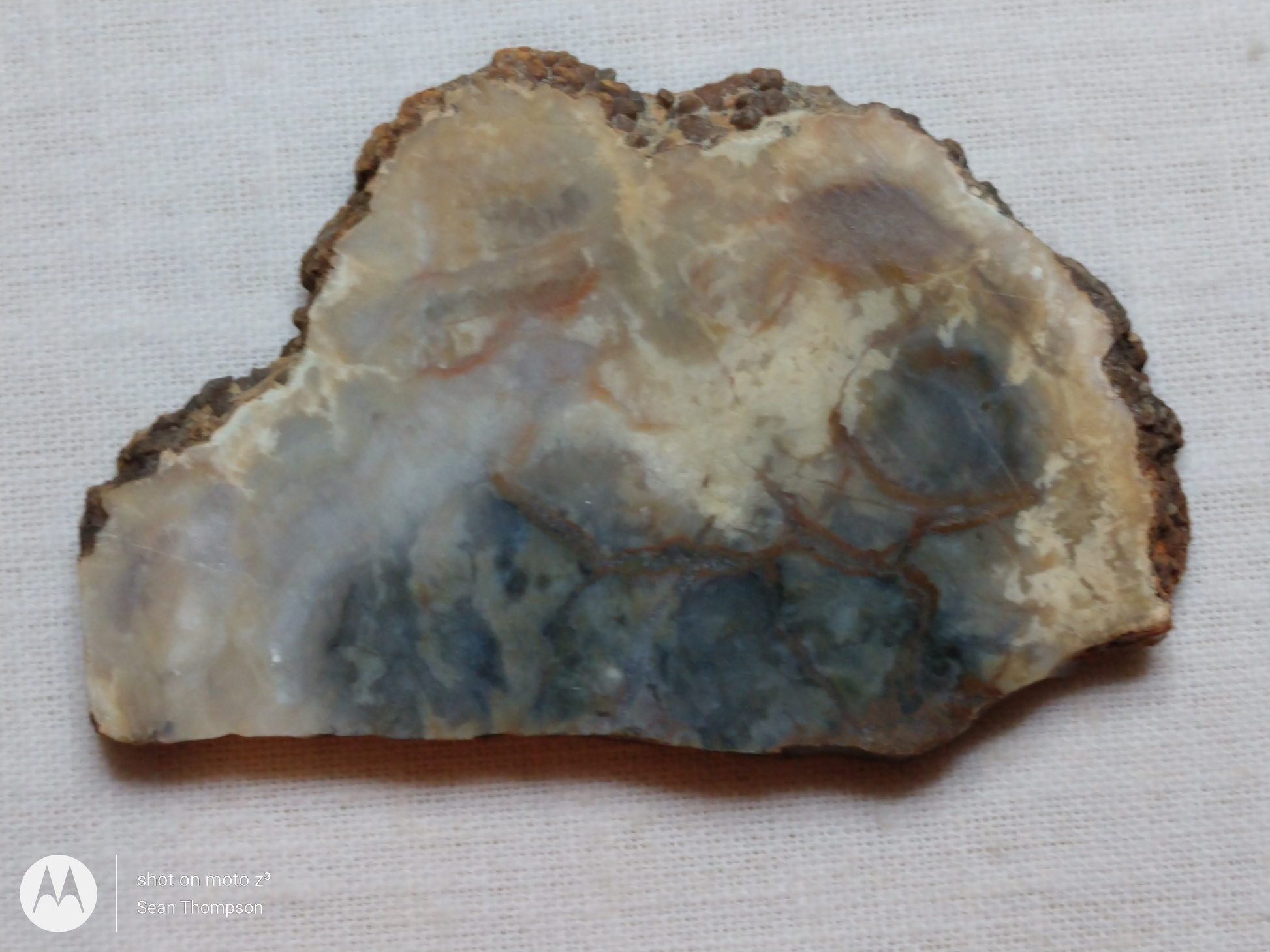 Coprolite FS-00006-03