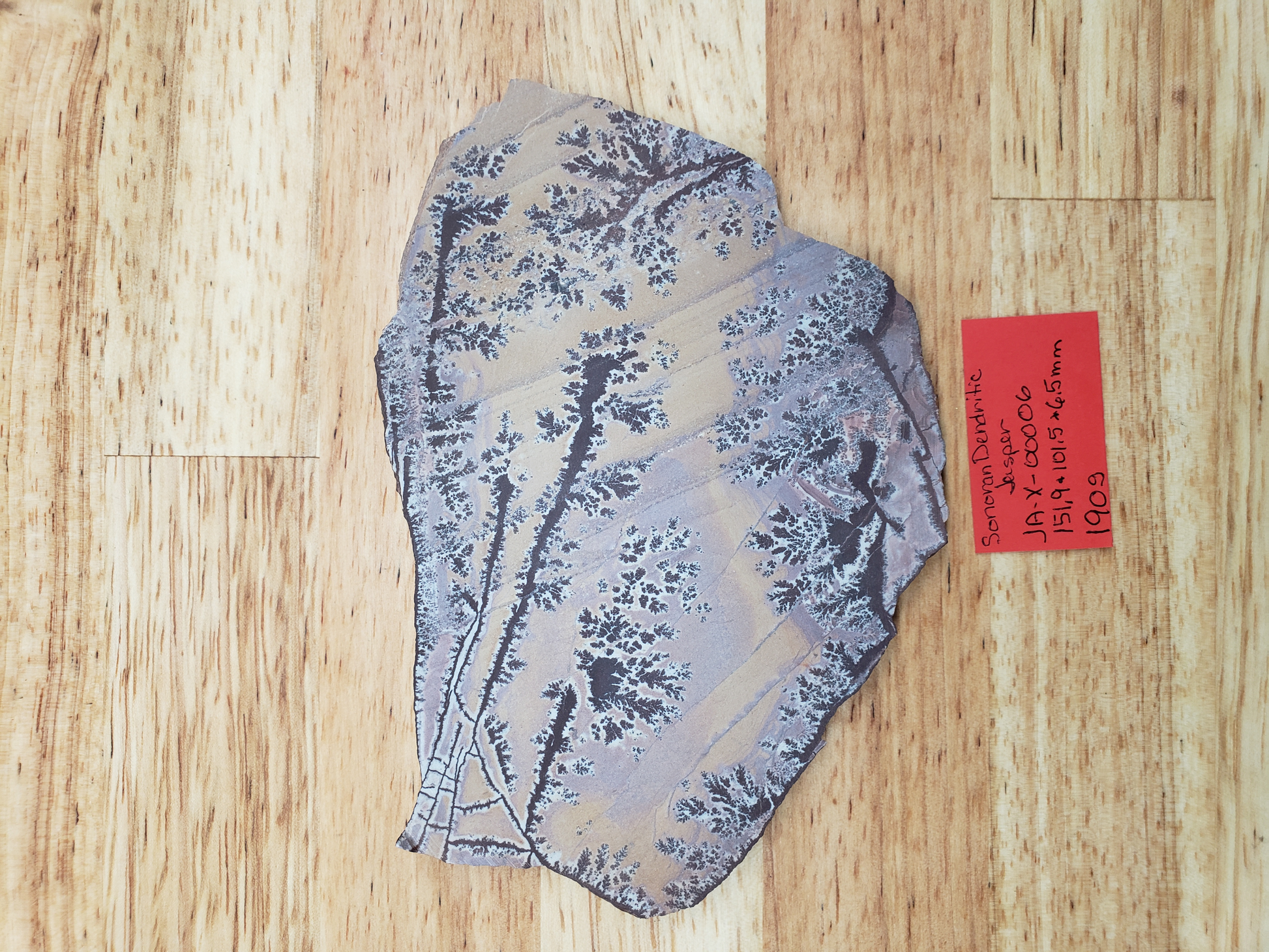 Sonoran Dendritic Jasper JA-x-00006