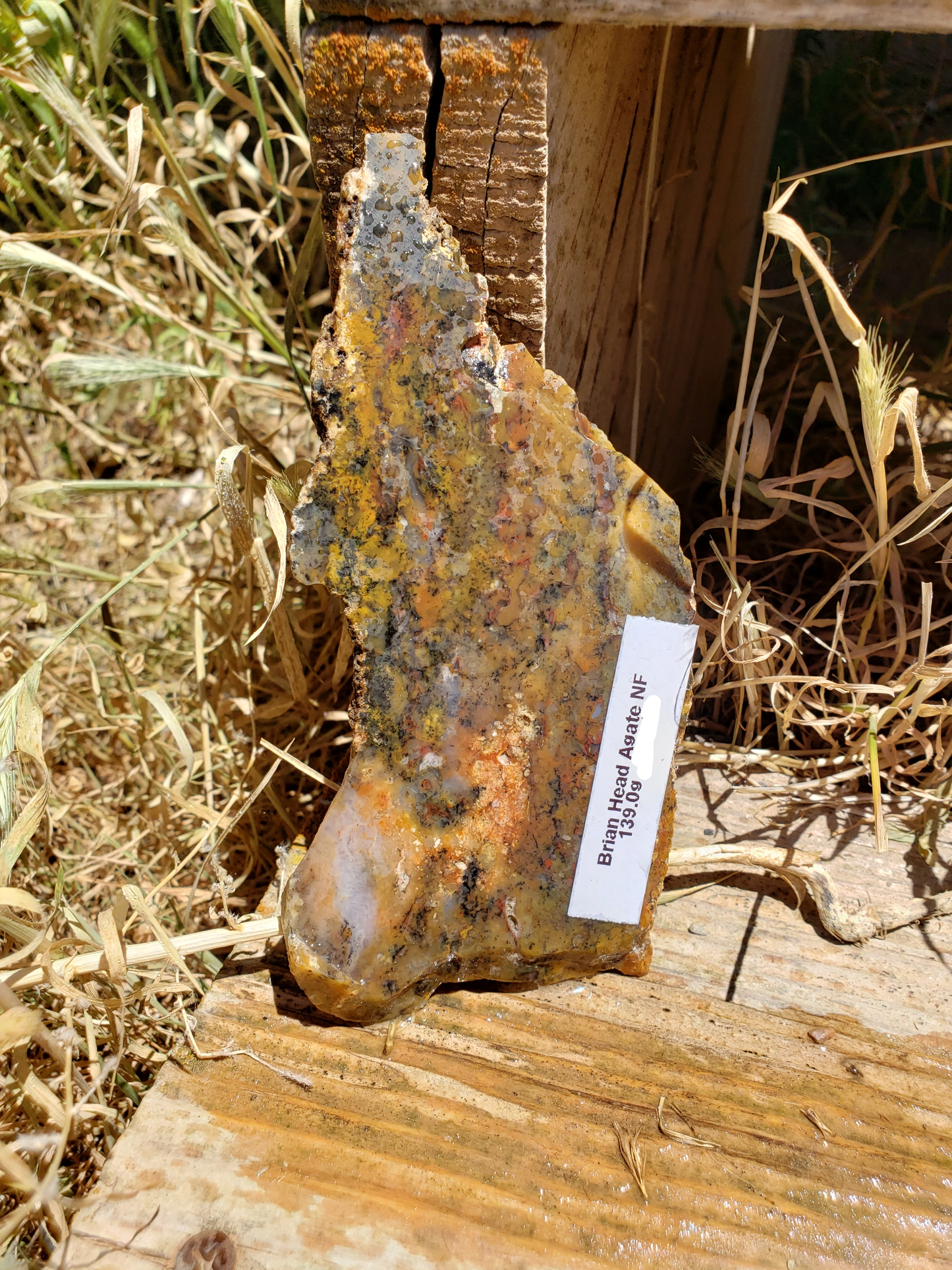 Cedar City Agate AG-x-00002