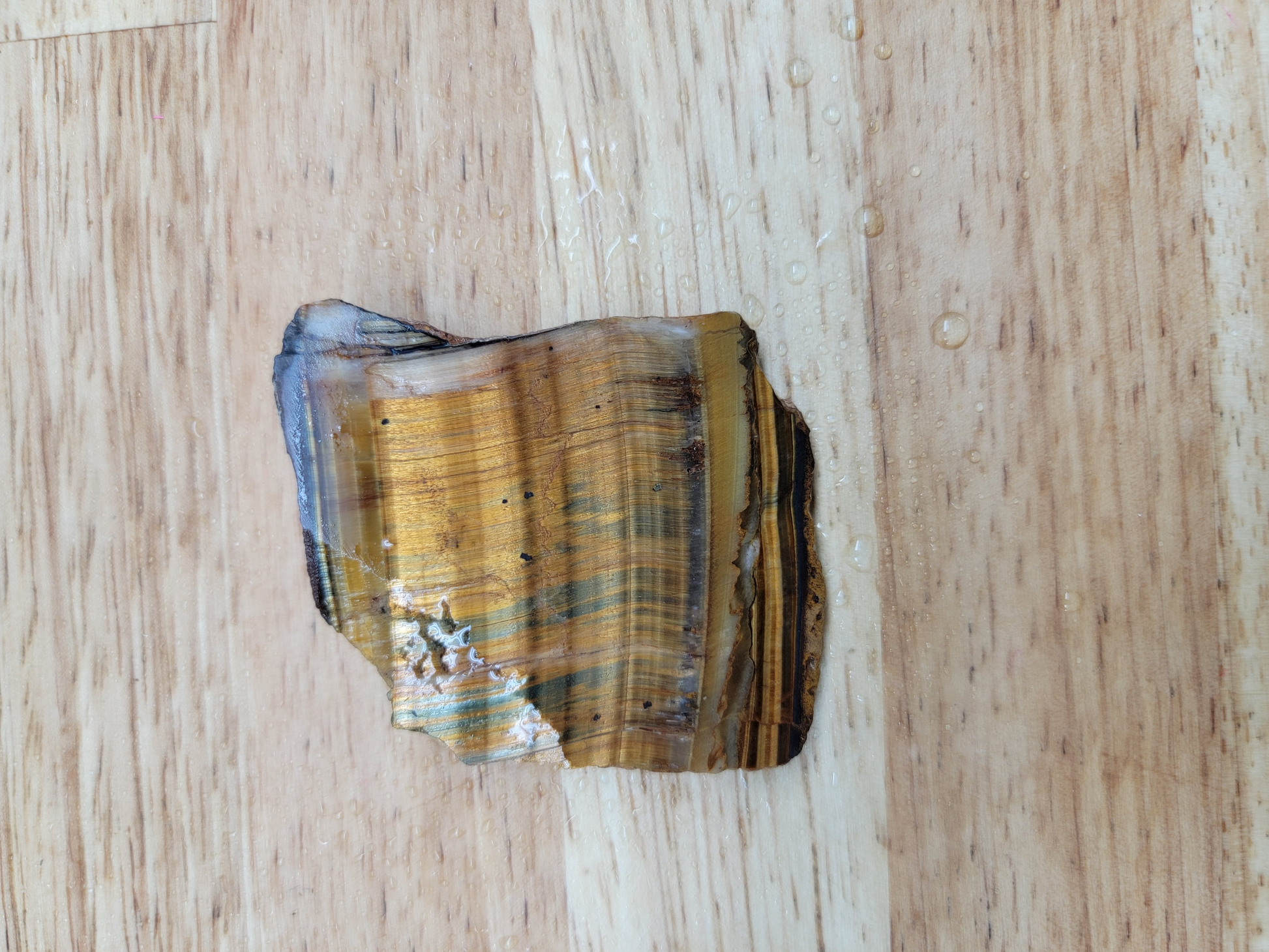 Tigers Eye with Blue OT-x-00160