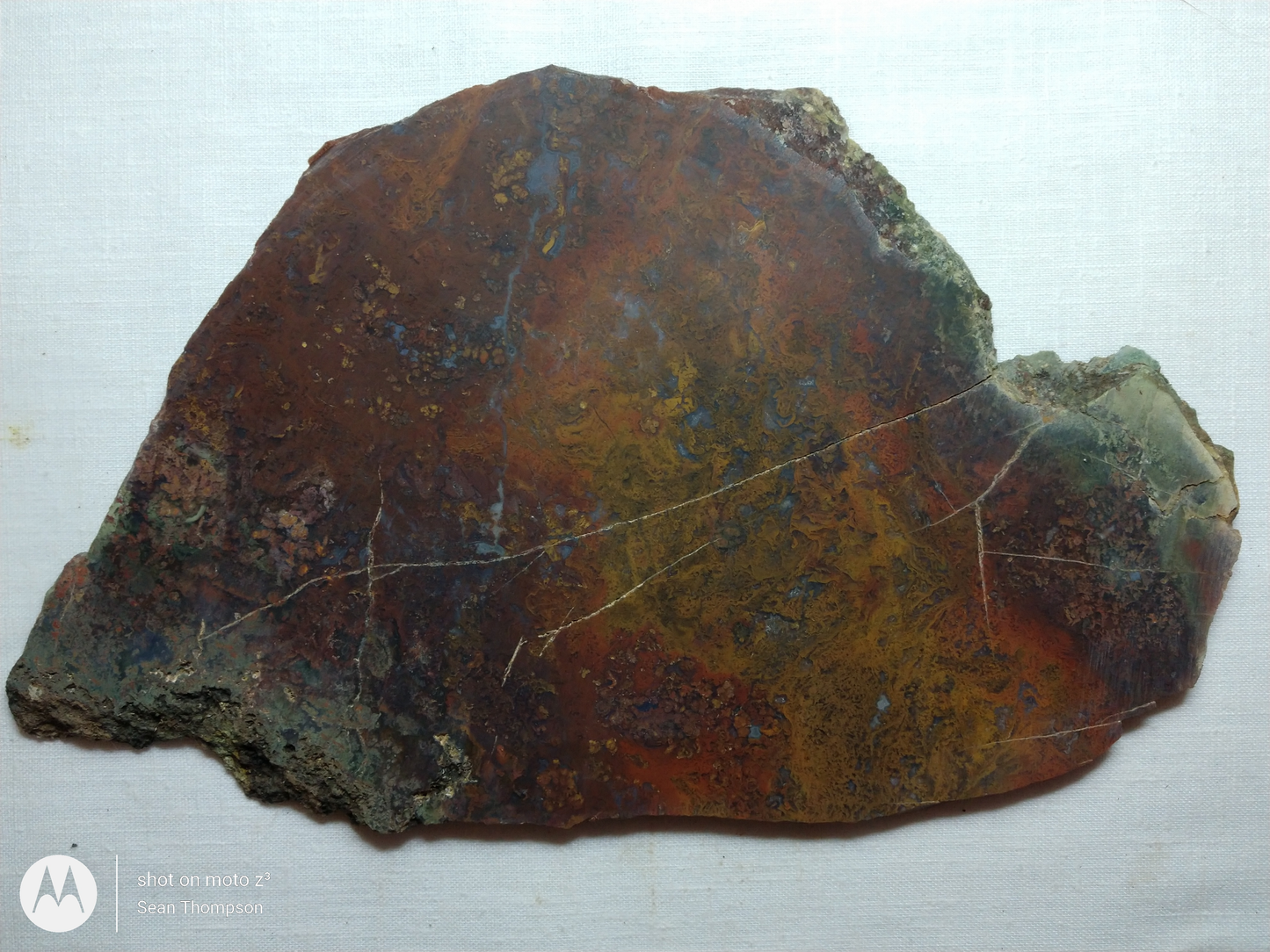 Holt Canyon Moss Agate HC-Bob-x1-00009