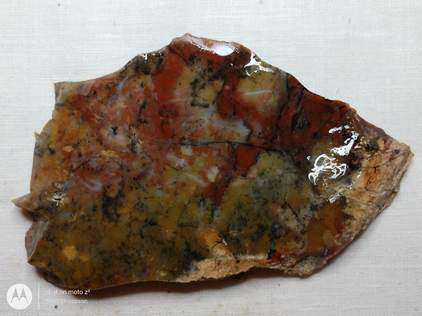 Holt Canyon Agate HC-00015-10